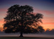 how to simplify your life