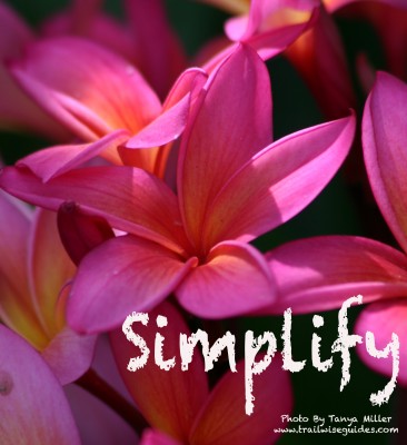 Simplify Your Life Radically