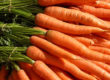 FreeVeganRecipes