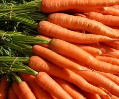 FreeVeganRecipes